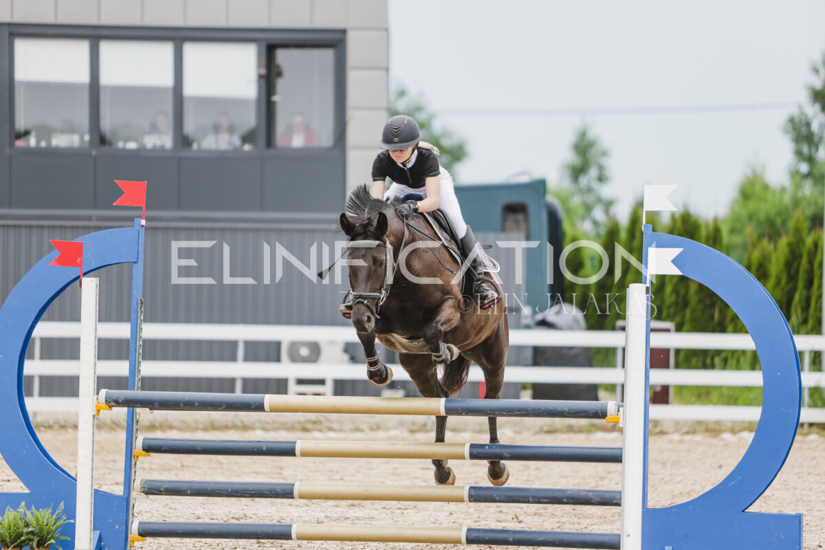Gramina_Jaanipaev_2026_3p_105_122
