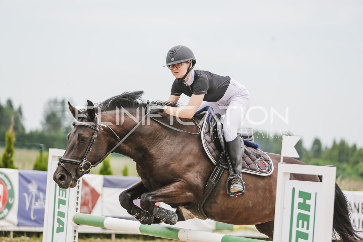 Gramina_Jaanipaev_2026_3p_105_124