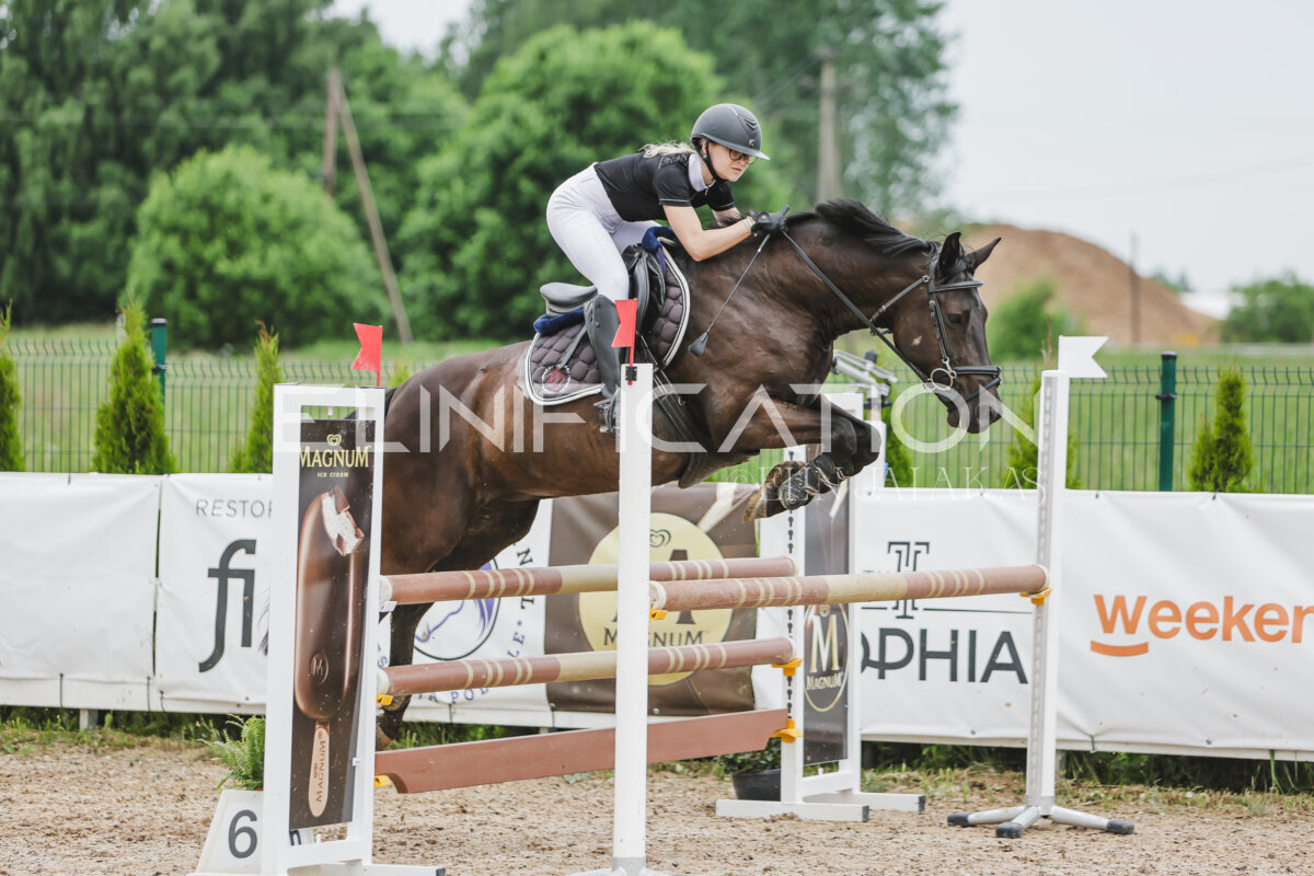 Gramina_Jaanipaev_2026_3p_105_125