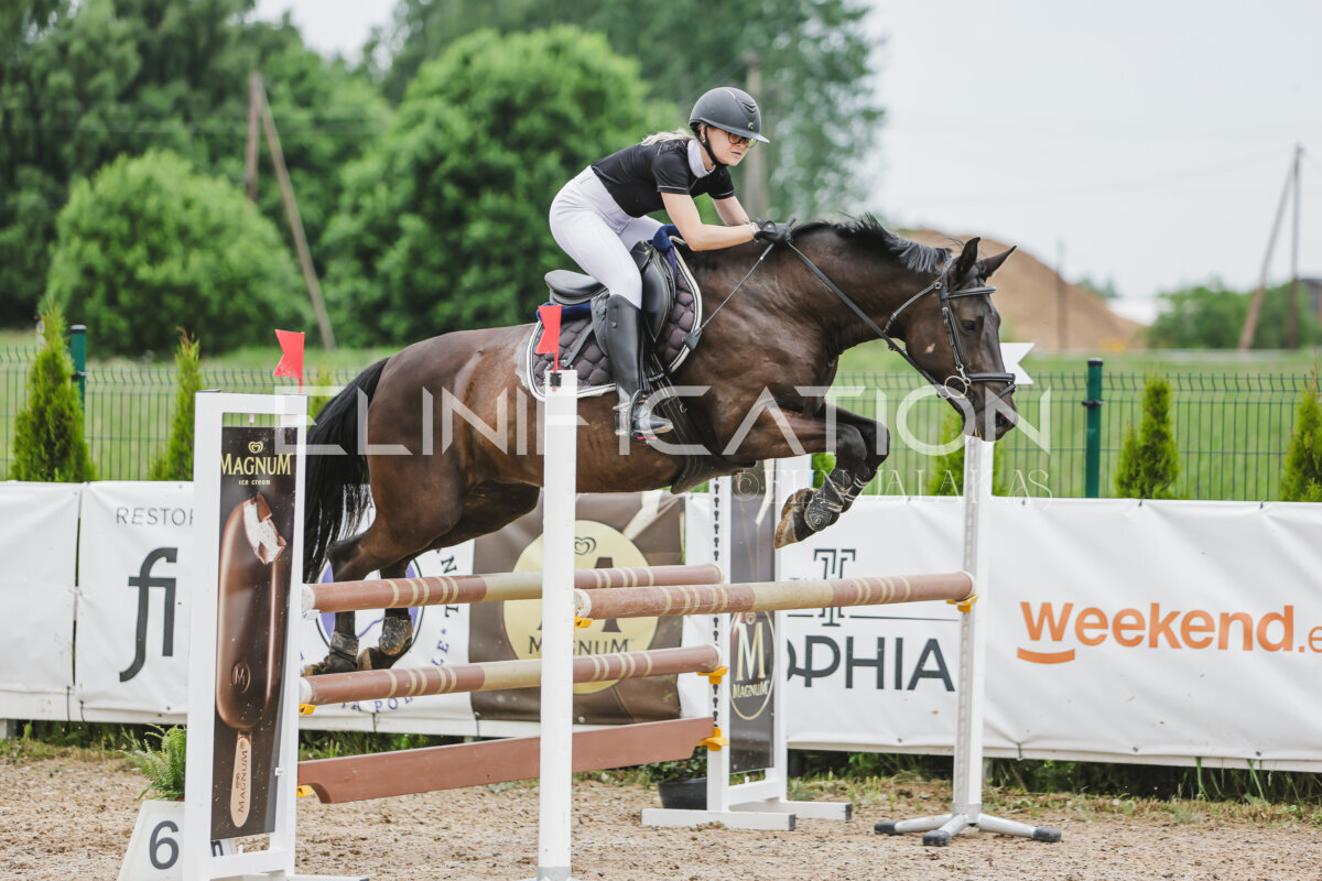 Gramina_Jaanipaev_2026_3p_105_126