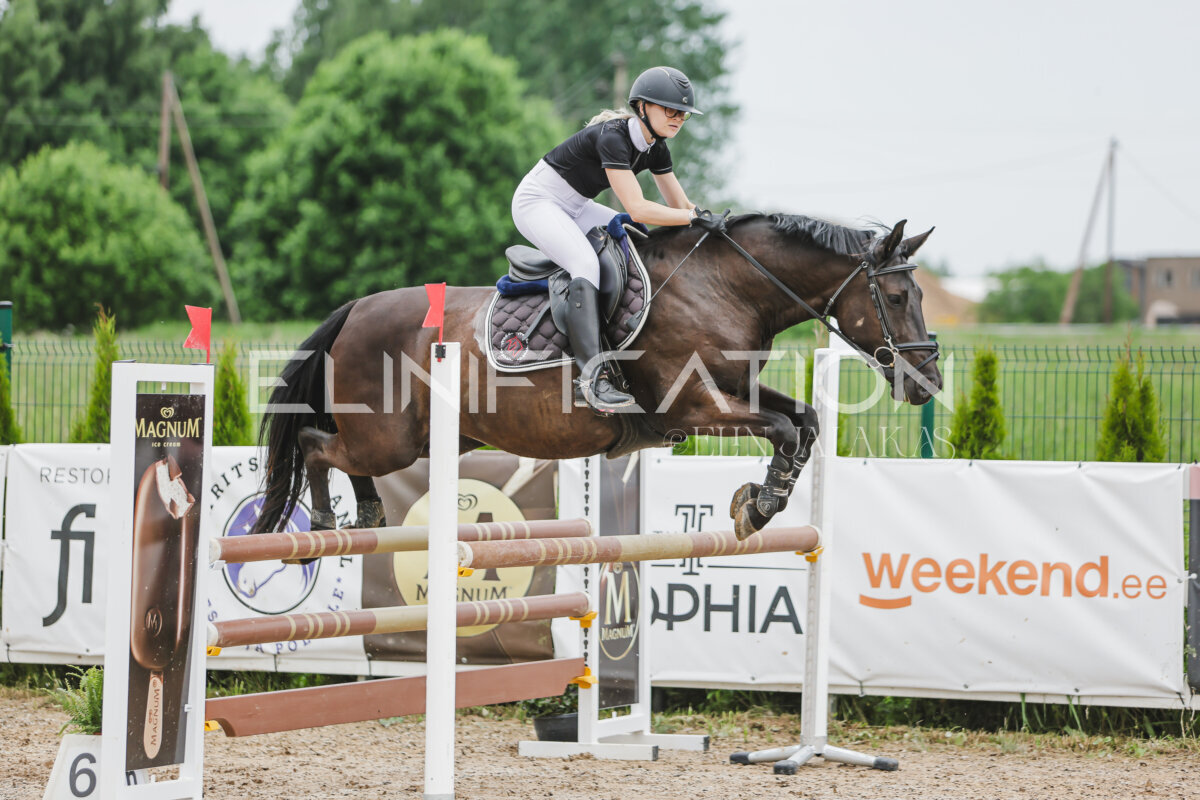 Gramina_Jaanipaev_2026_3p_105_127