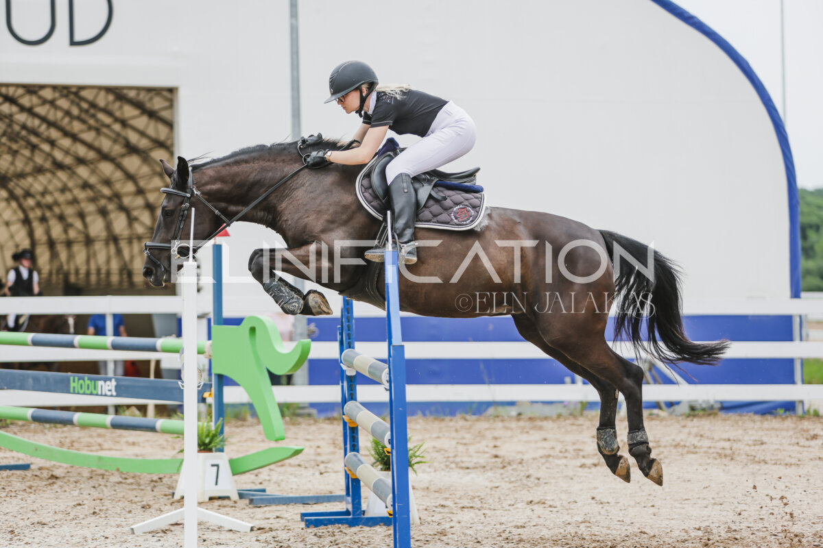 Gramina_Jaanipaev_2026_3p_105_132