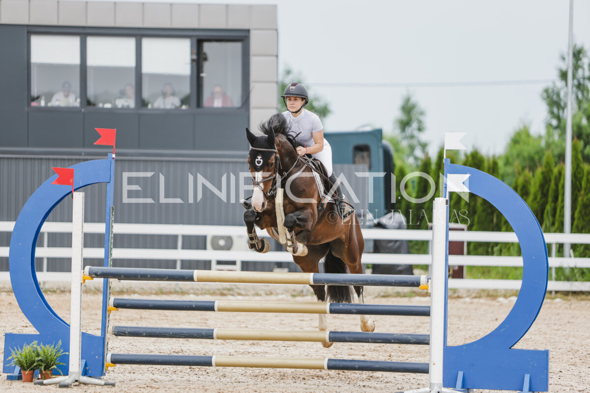 Gramina_Jaanipaev_2026_3p_105_134