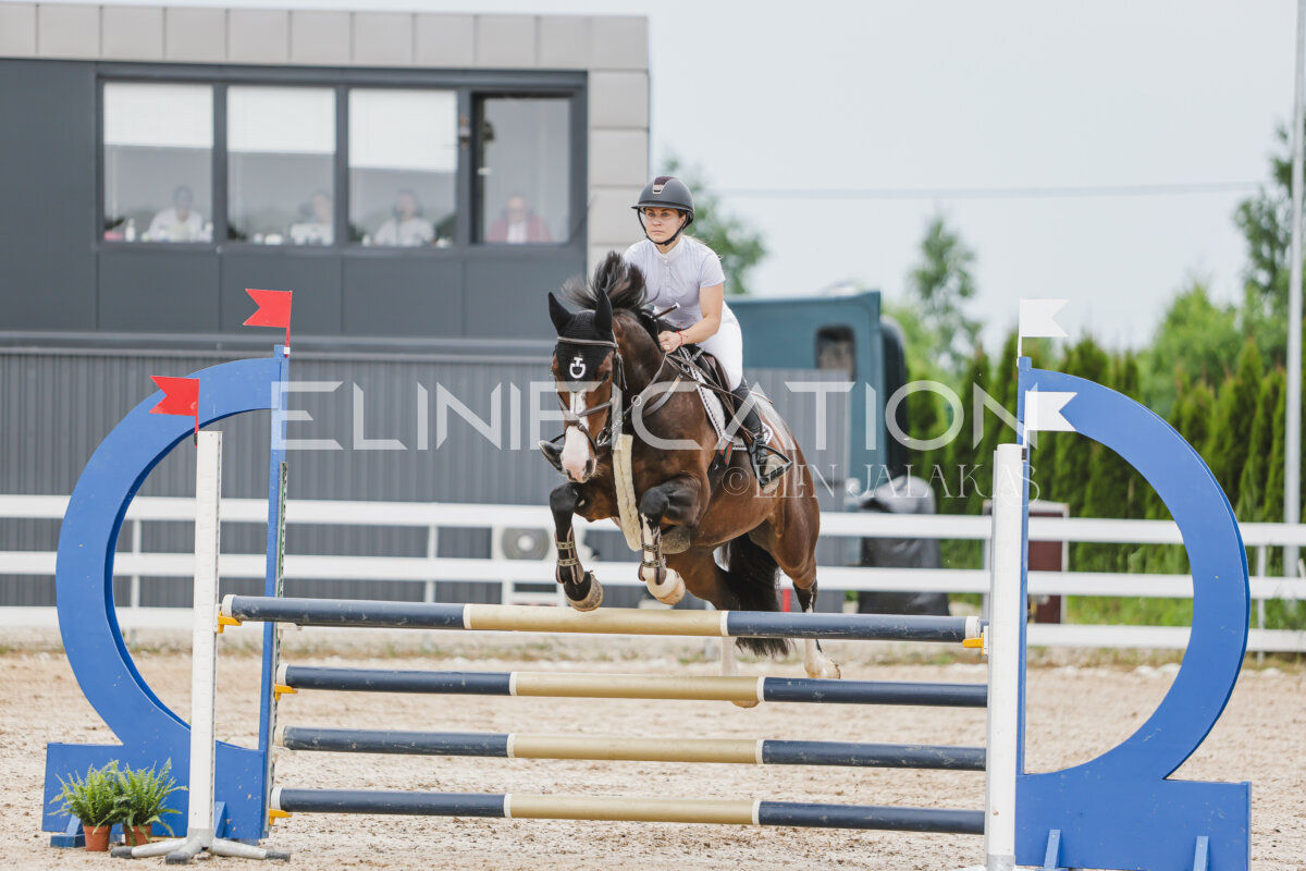 Gramina_Jaanipaev_2026_3p_105_135