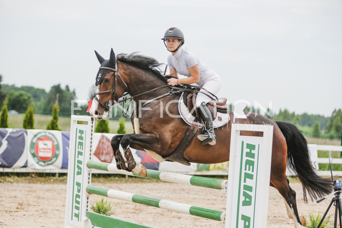 Gramina_Jaanipaev_2026_3p_105_136