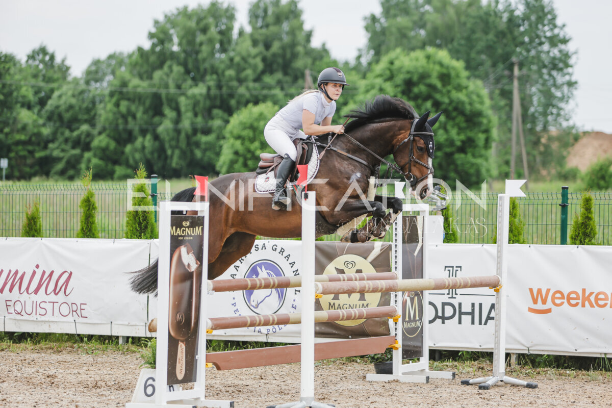 Gramina_Jaanipaev_2026_3p_105_138