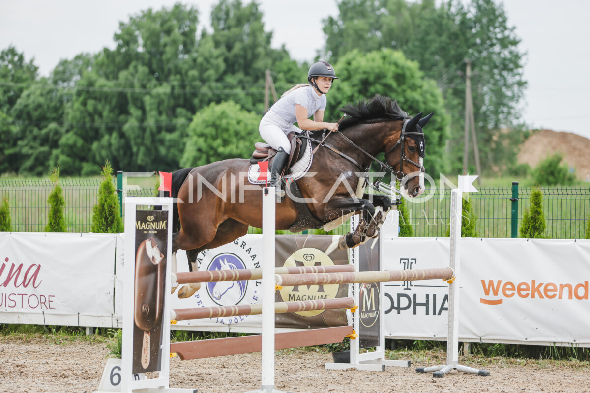 Gramina_Jaanipaev_2026_3p_105_139