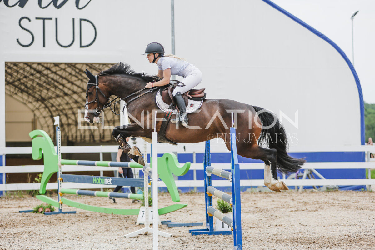 Gramina_Jaanipaev_2026_3p_105_145