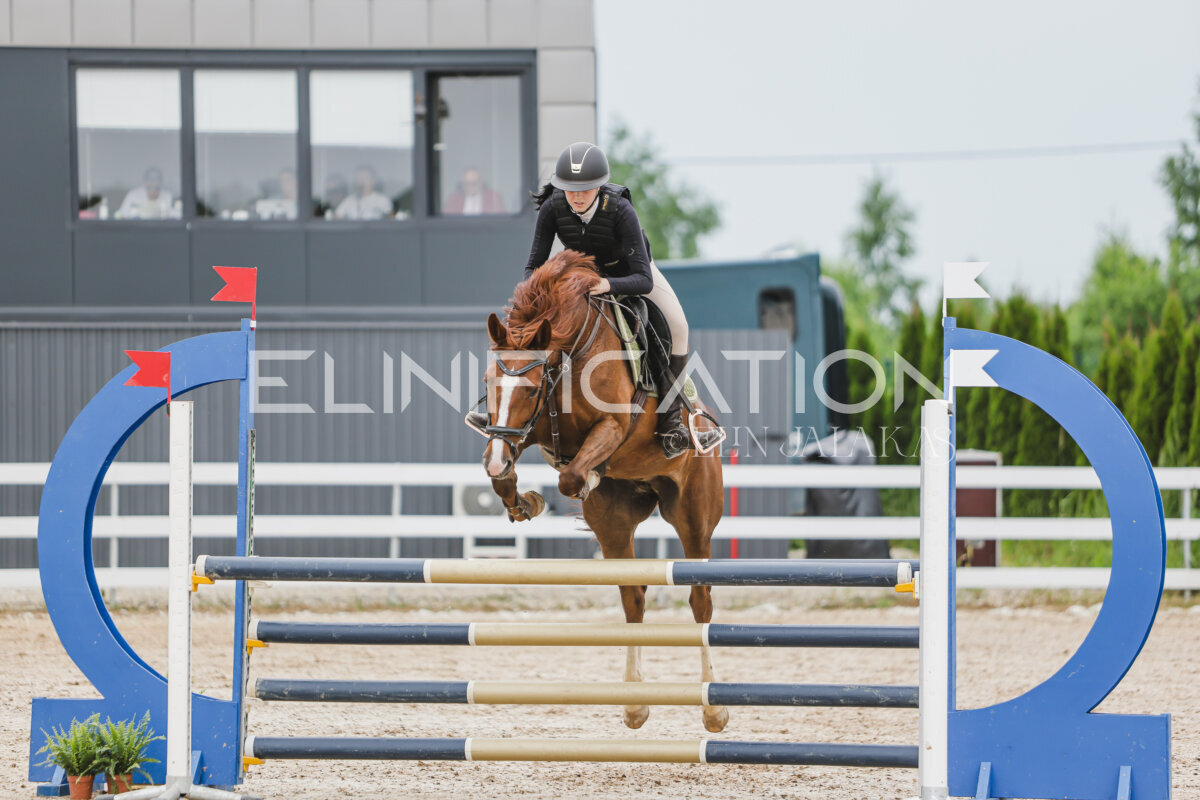 Gramina_Jaanipaev_2026_3p_105_146