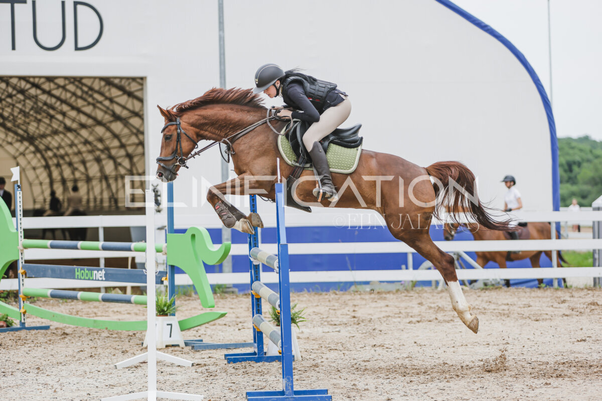 Gramina_Jaanipaev_2026_3p_105_155