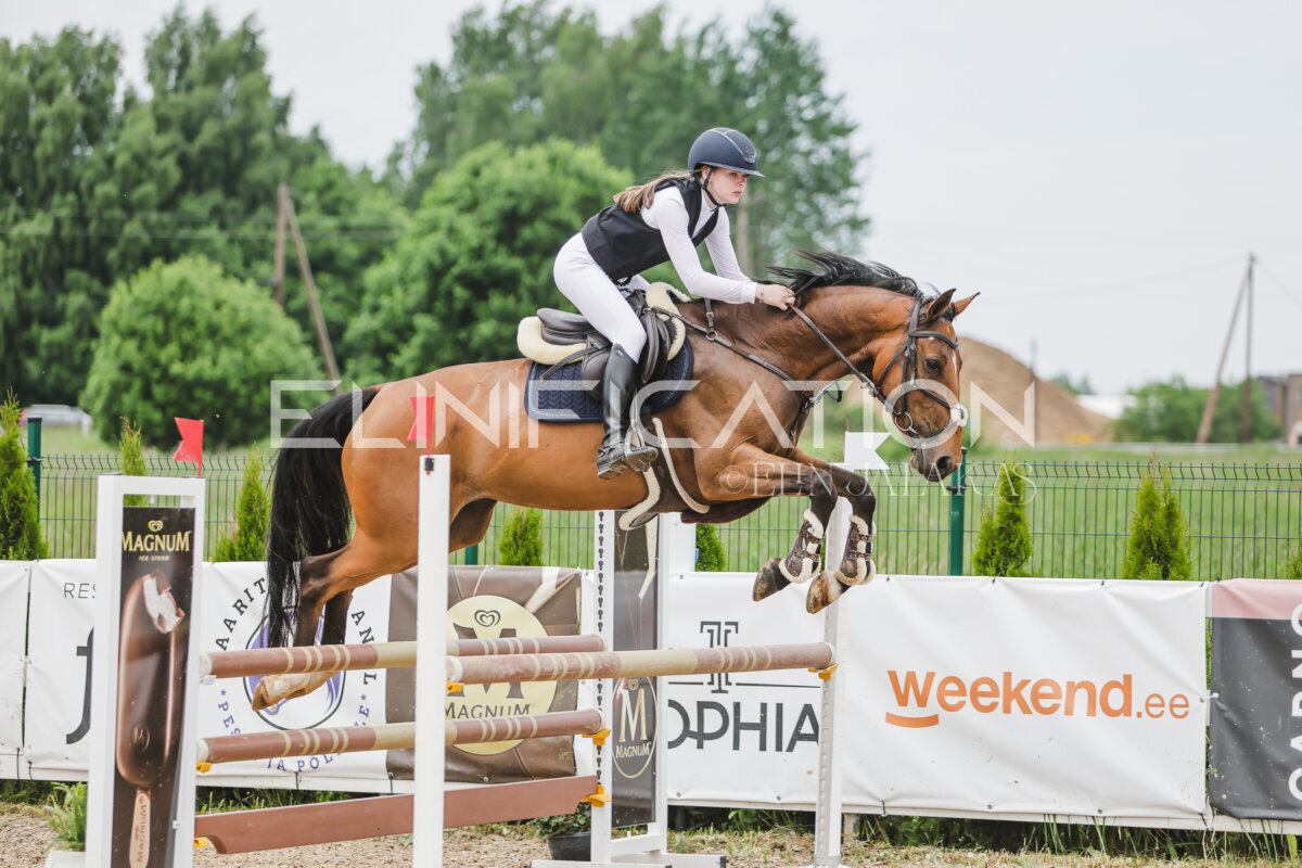 Gramina_Jaanipaev_2026_3p_105_210