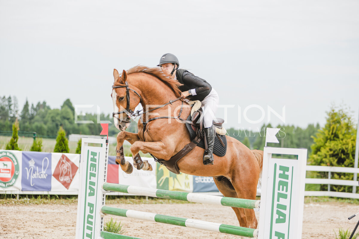 Gramina_Jaanipaev_2026_3p_105_231