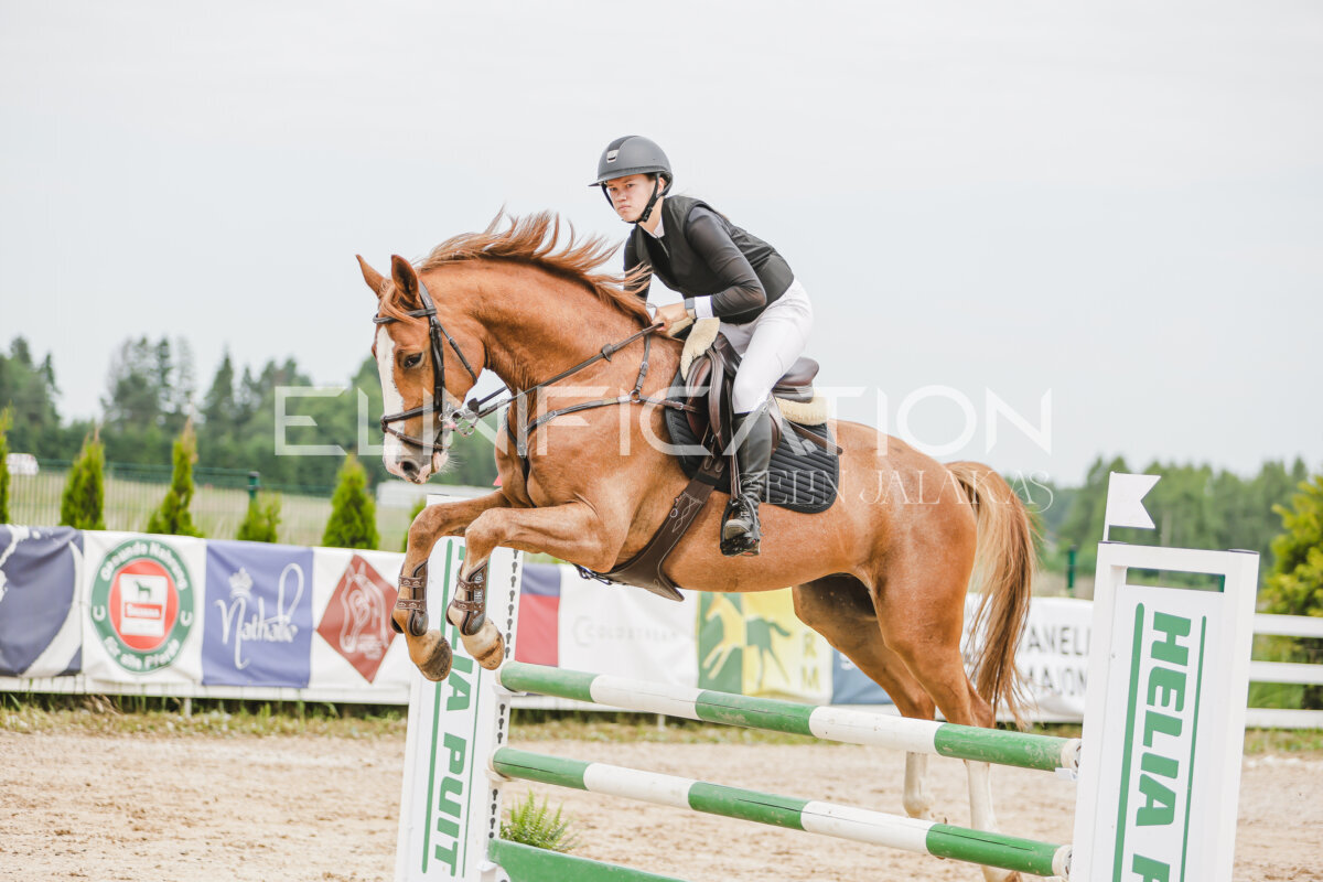 Gramina_Jaanipaev_2026_3p_105_233