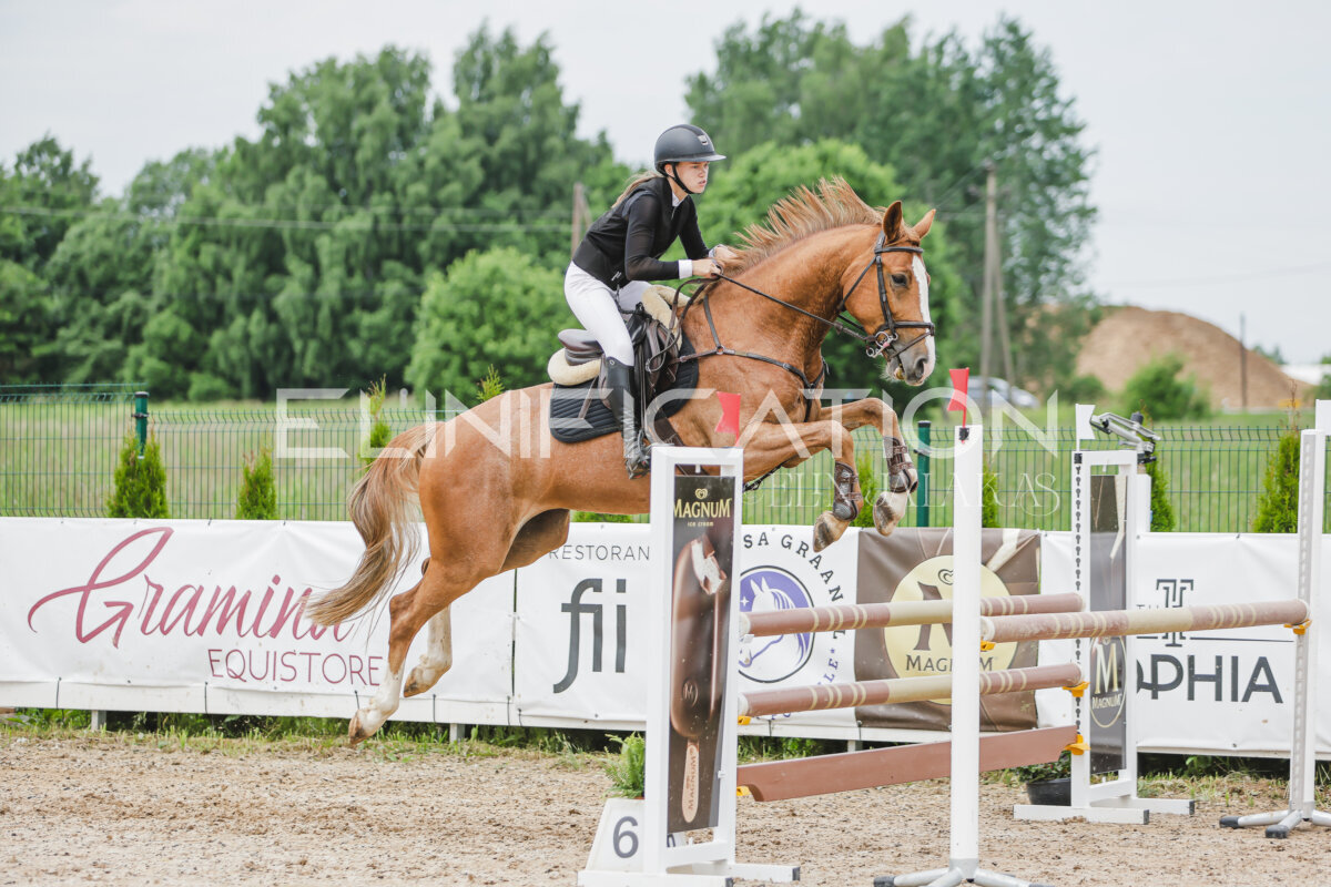 Gramina_Jaanipaev_2026_3p_105_234