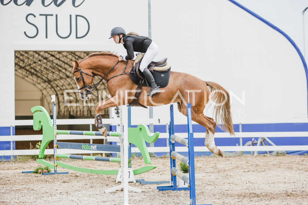 Gramina_Jaanipaev_2026_3p_105_240