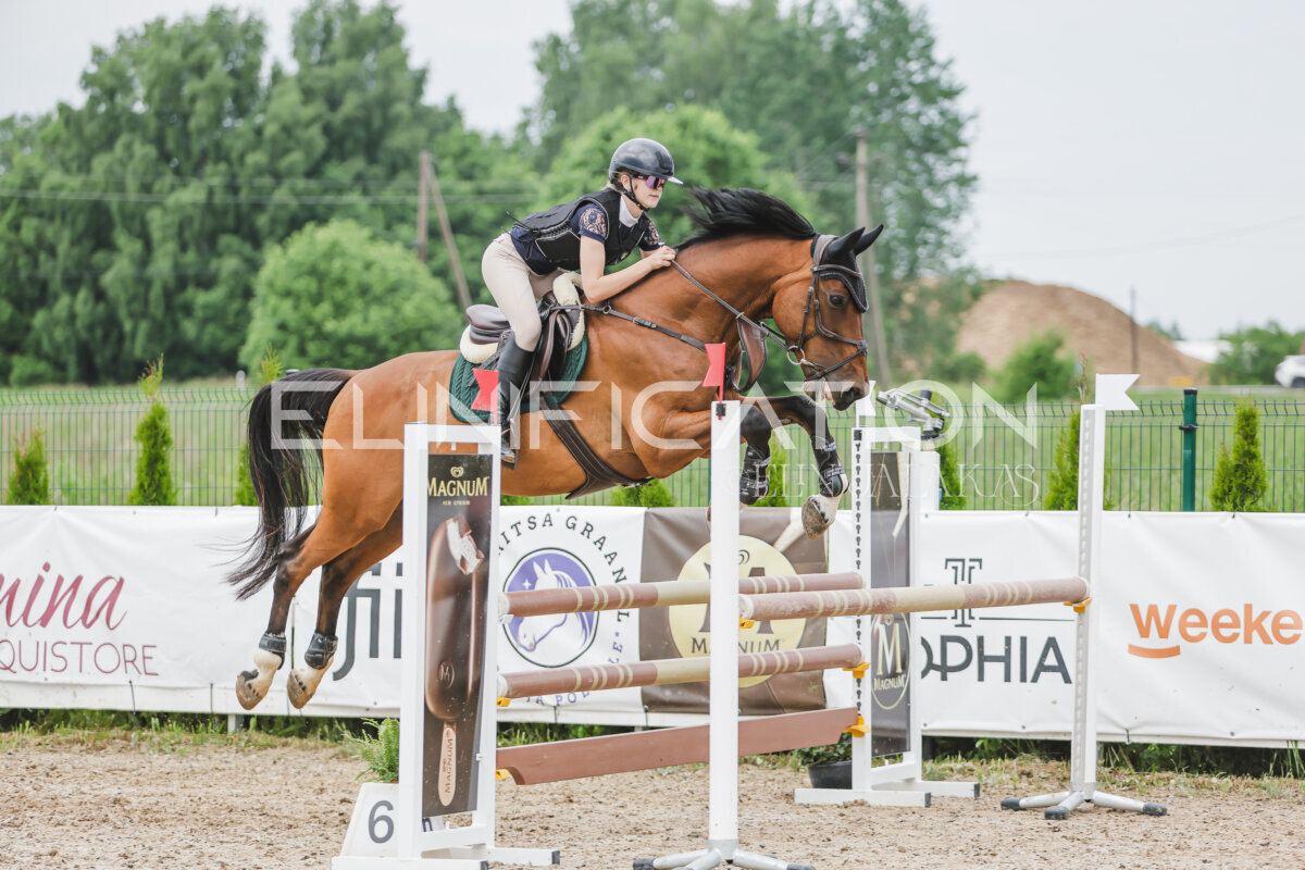 Gramina_Jaanipaev_2026_3p_105_244
