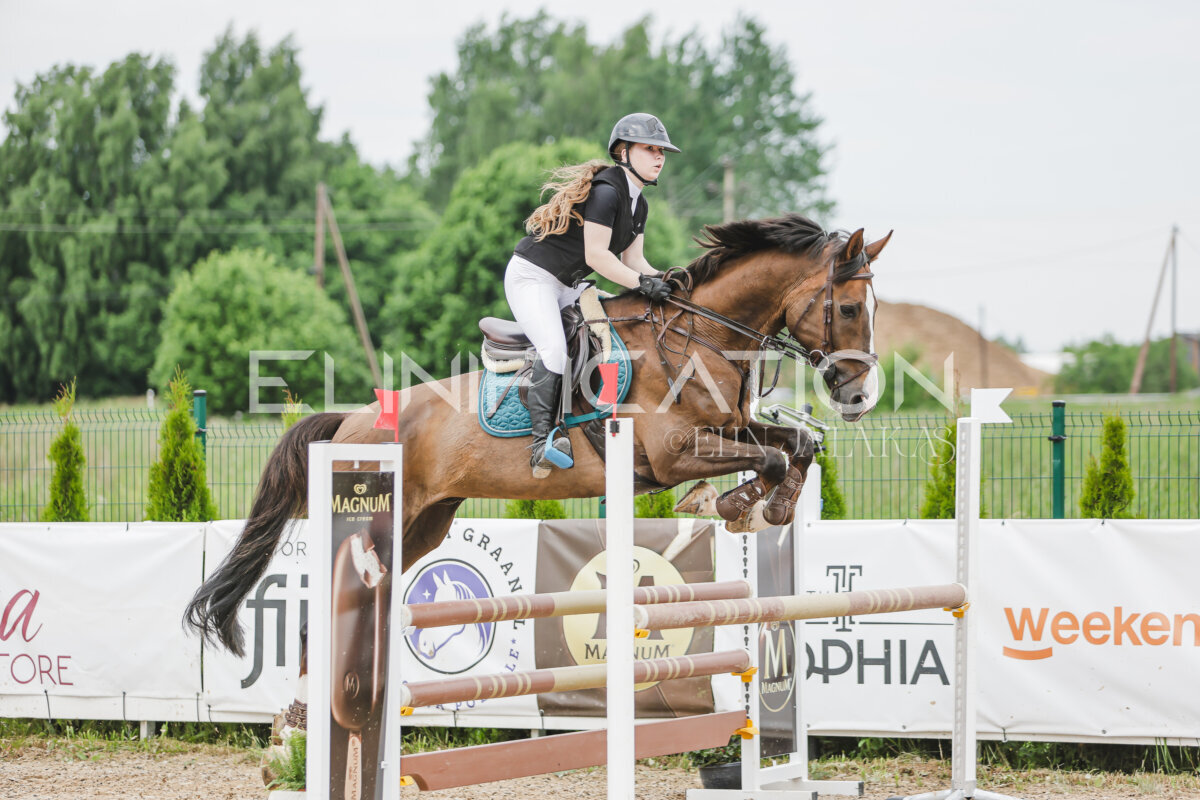 Gramina_Jaanipaev_2026_3p_105_273