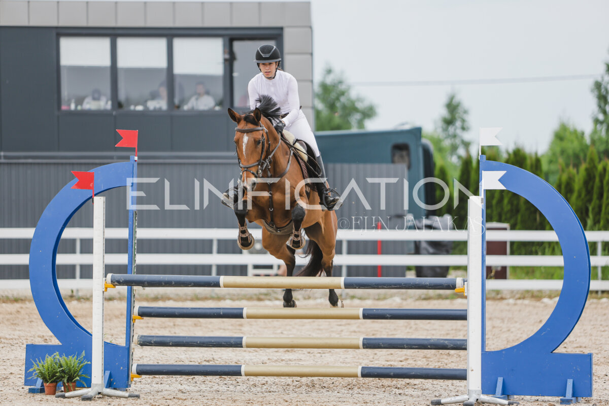 Gramina_Jaanipaev_2026_3p_105_293