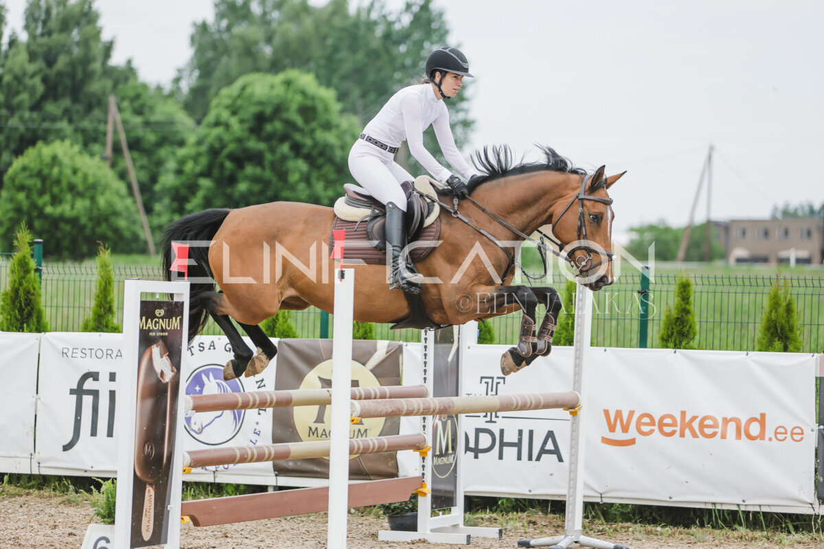 Gramina_Jaanipaev_2026_3p_105_297