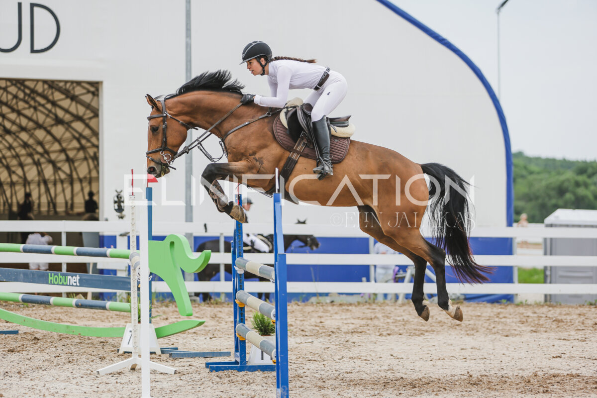 Gramina_Jaanipaev_2026_3p_105_299
