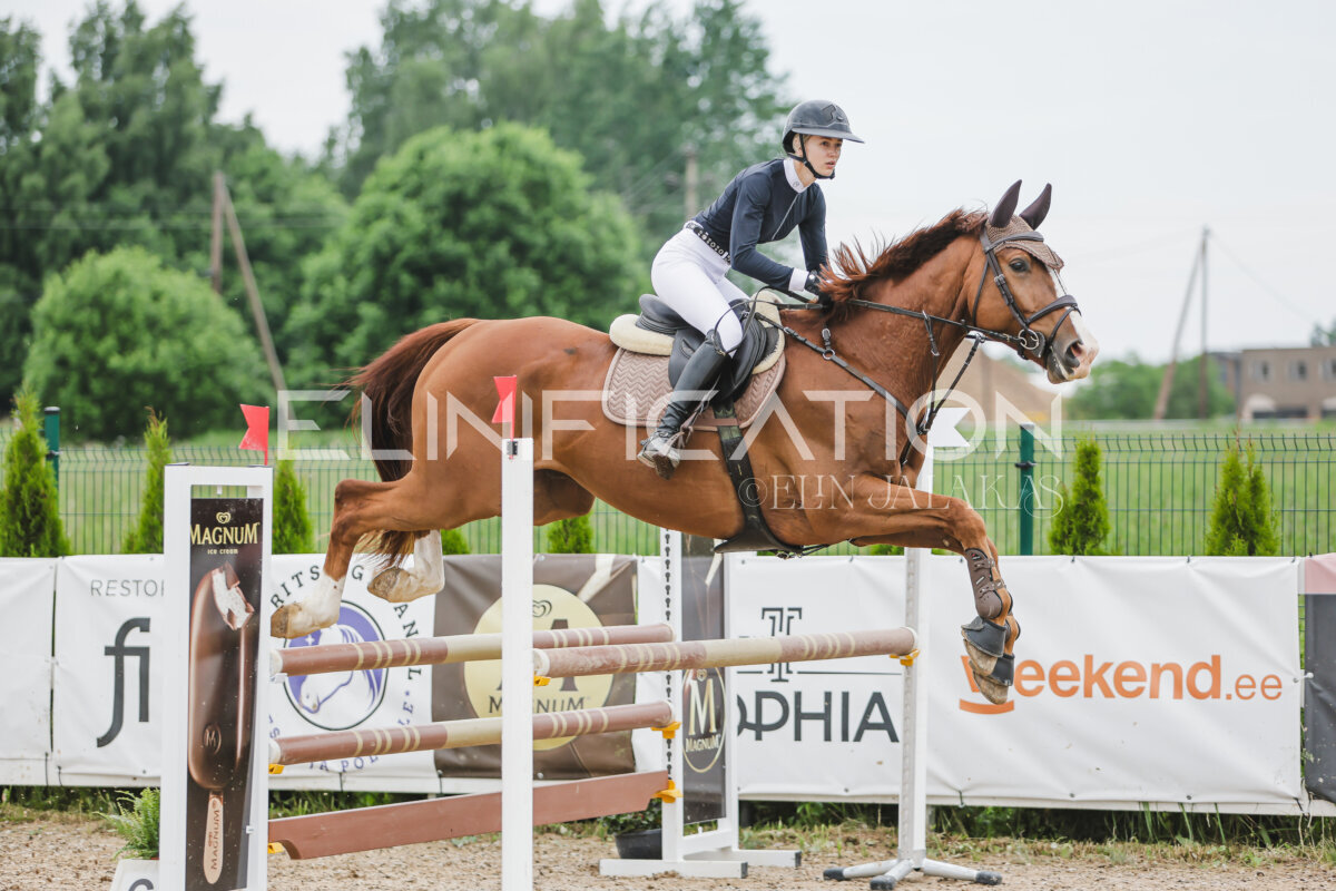 Gramina_Jaanipaev_2026_3p_105_317