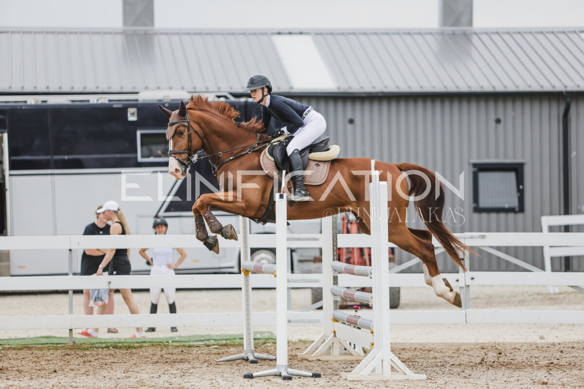 Gramina_Jaanipaev_2026_3p_105_319