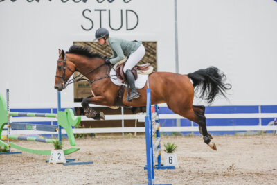 Gramina_Jaanipaev_2026_3p_115_002