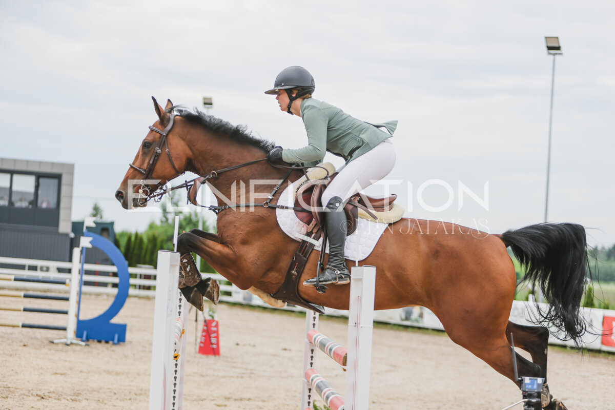 Gramina_Jaanipaev_2026_3p_115_004