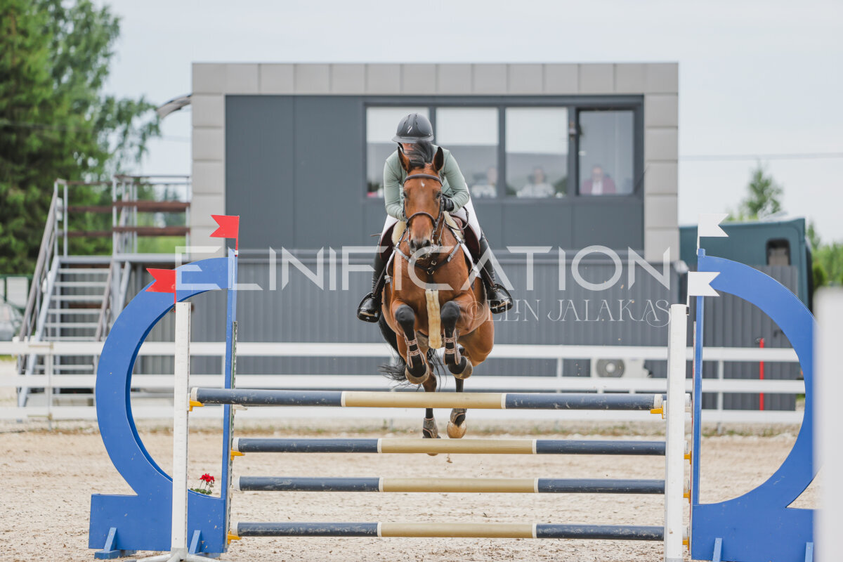 Gramina_Jaanipaev_2026_3p_115_006