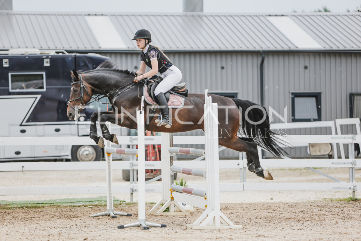 Gramina_Jaanipaev_2026_3p_115_012
