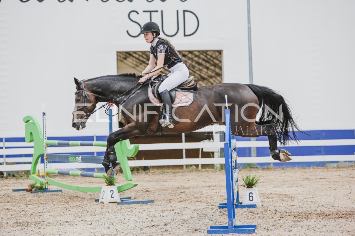 Gramina_Jaanipaev_2026_3p_115_016