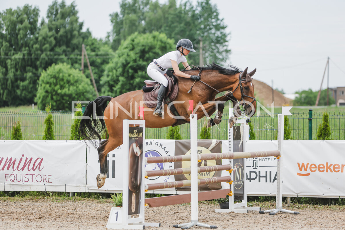 Gramina_Jaanipaev_2026_3p_115_033
