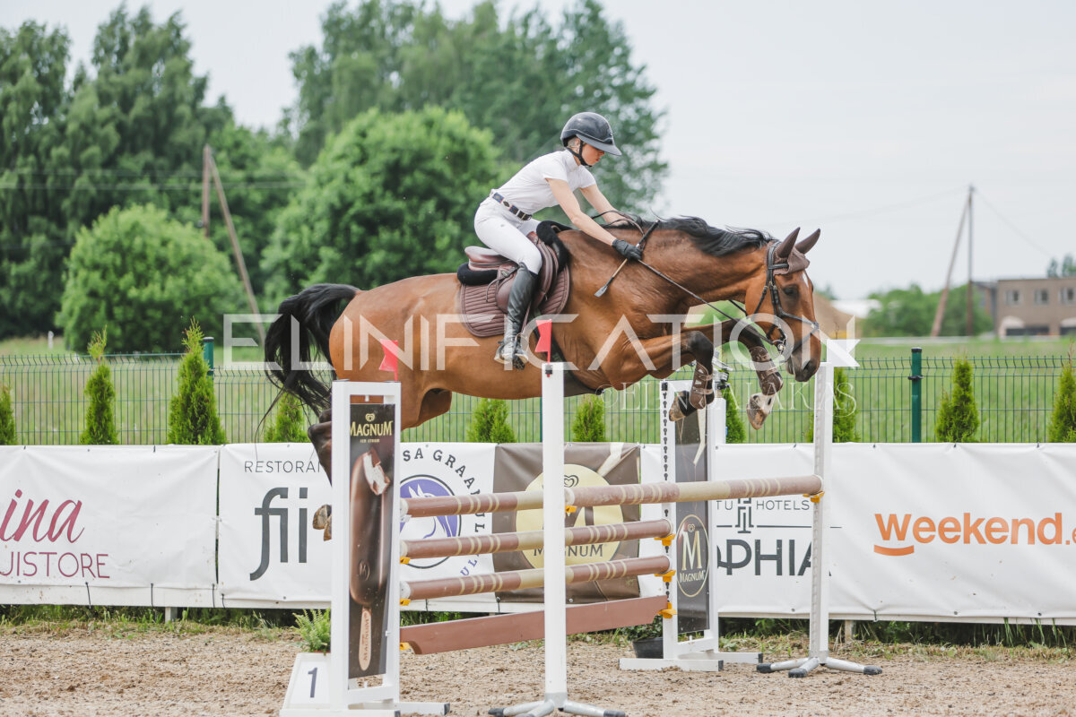 Gramina_Jaanipaev_2026_3p_115_034