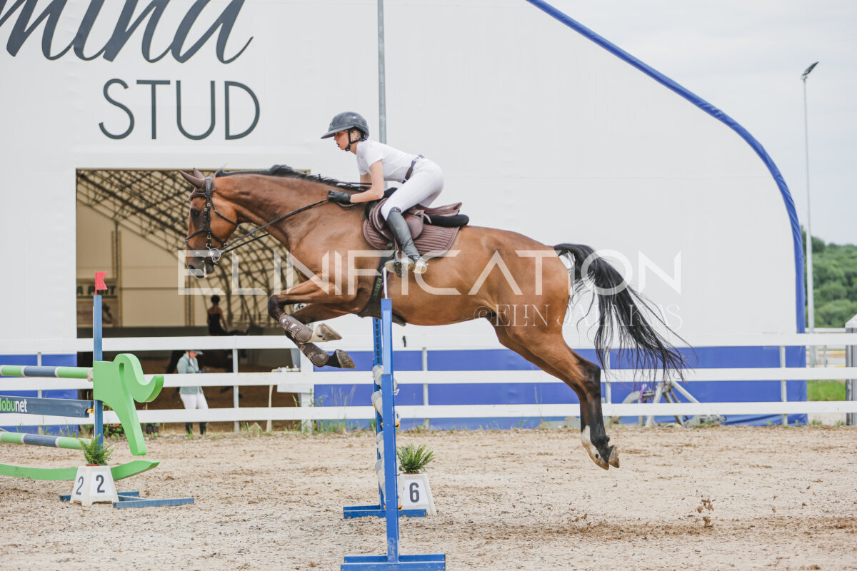 Gramina_Jaanipaev_2026_3p_115_036