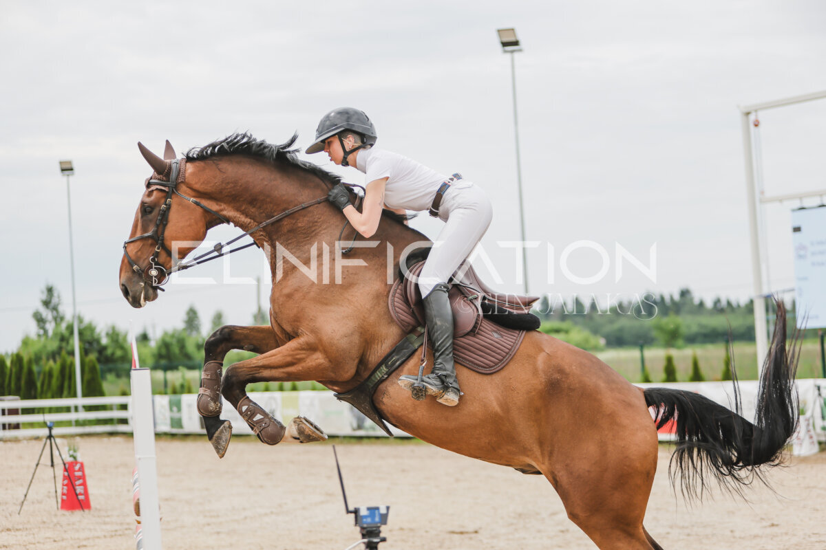 Gramina_Jaanipaev_2026_3p_115_037