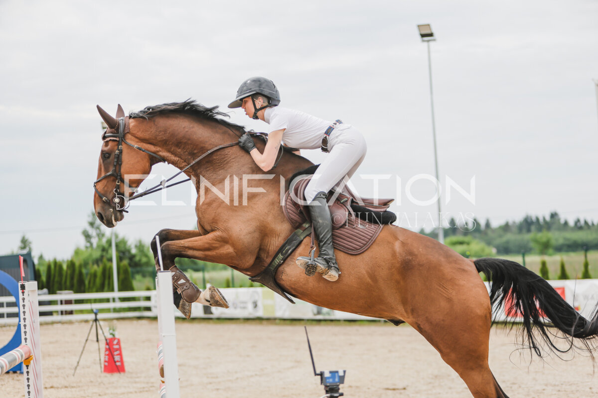 Gramina_Jaanipaev_2026_3p_115_038