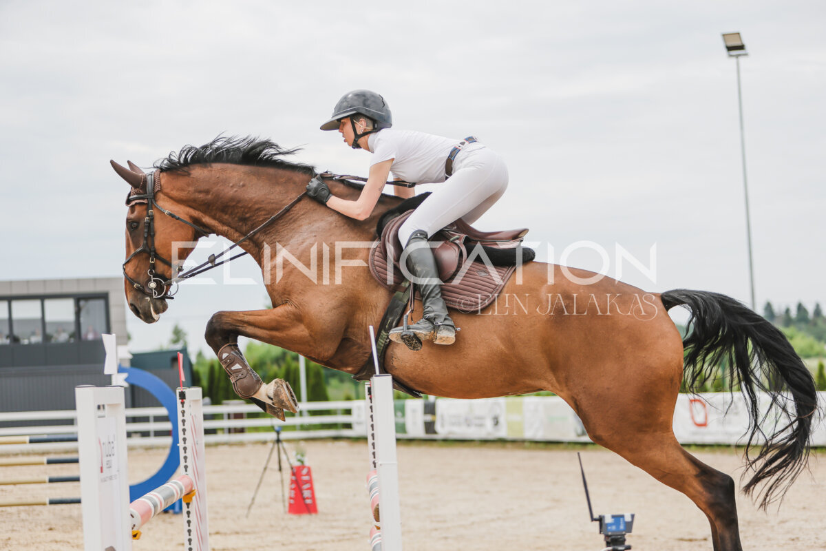 Gramina_Jaanipaev_2026_3p_115_040