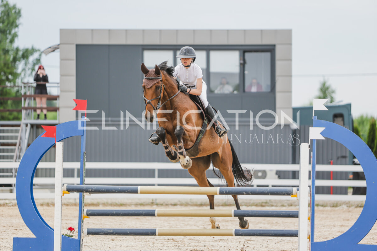 Gramina_Jaanipaev_2026_3p_115_041