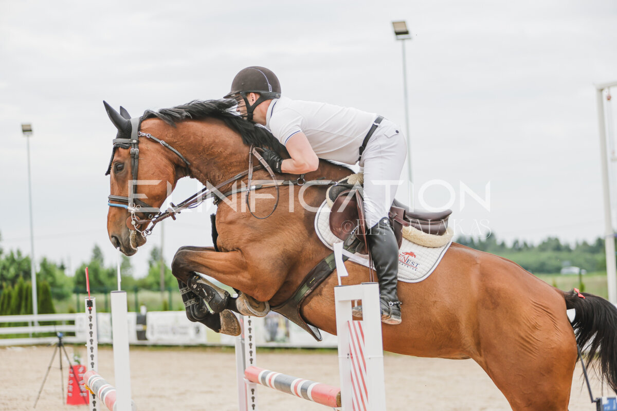 Gramina_Jaanipaev_2026_3p_115_047