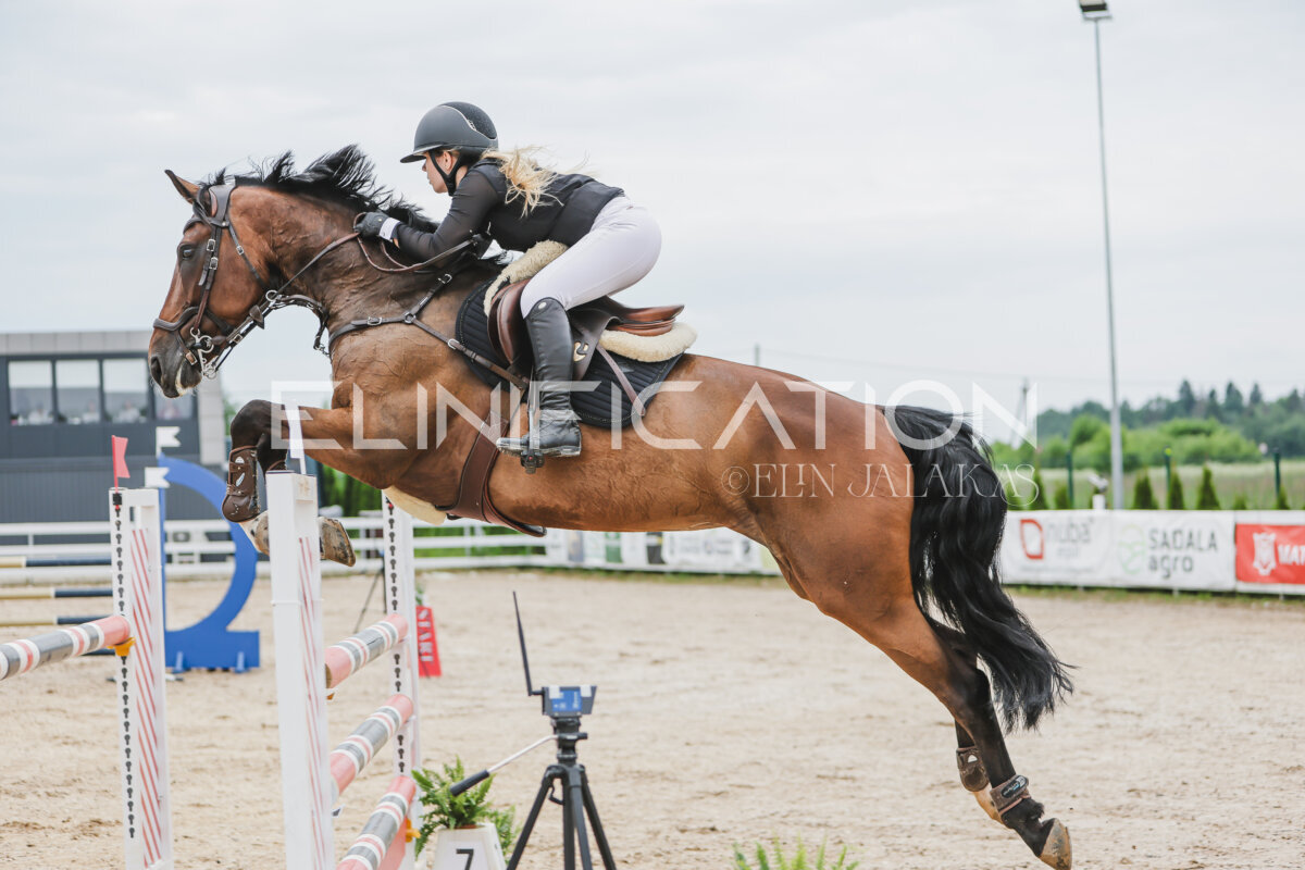 Gramina_Jaanipaev_2026_3p_115_095