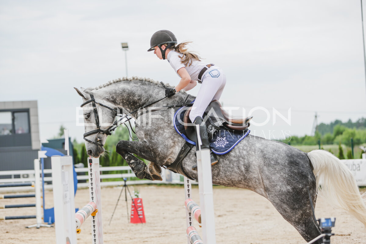 Gramina_Jaanipaev_2026_3p_115_109