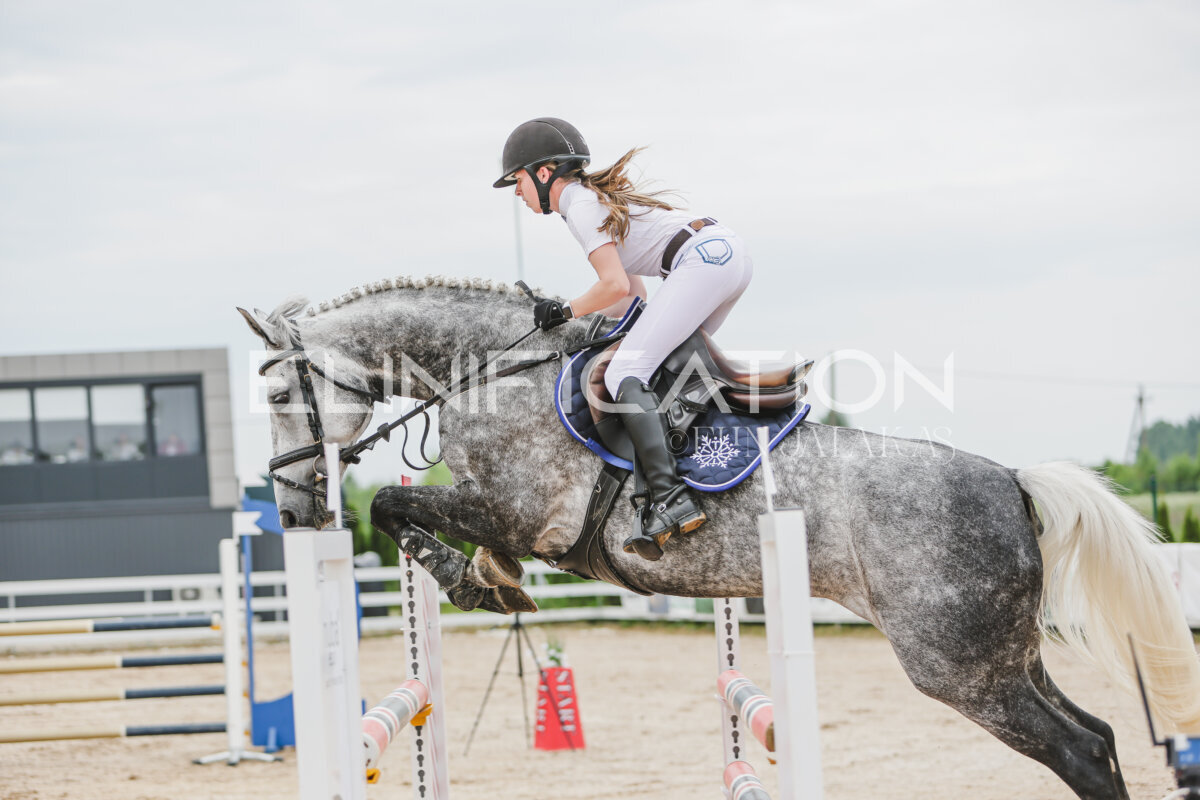 Gramina_Jaanipaev_2026_3p_115_110