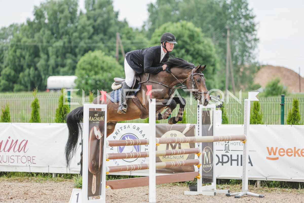 Gramina_Jaanipaev_2026_3p_115_117