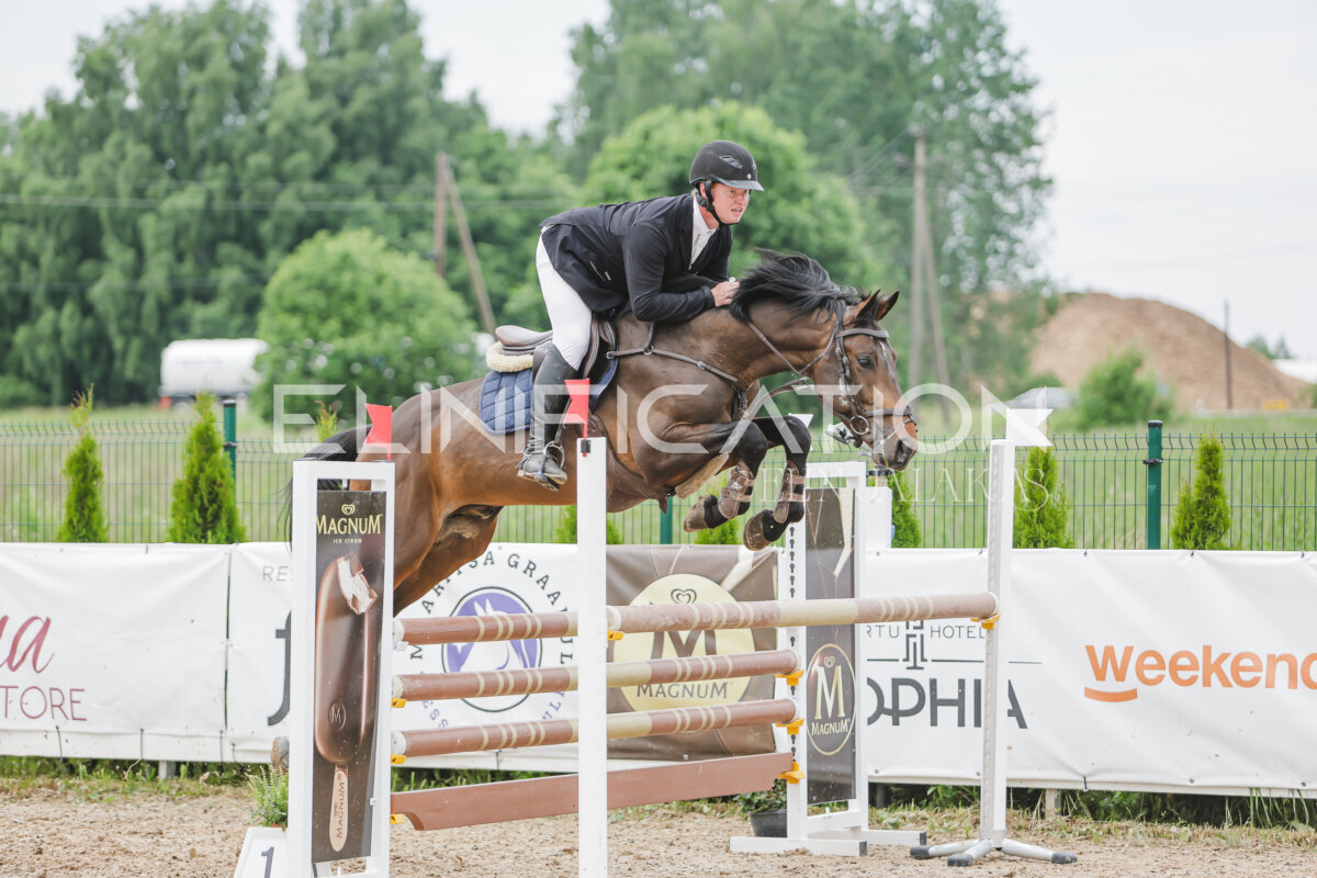 Gramina_Jaanipaev_2026_3p_115_118