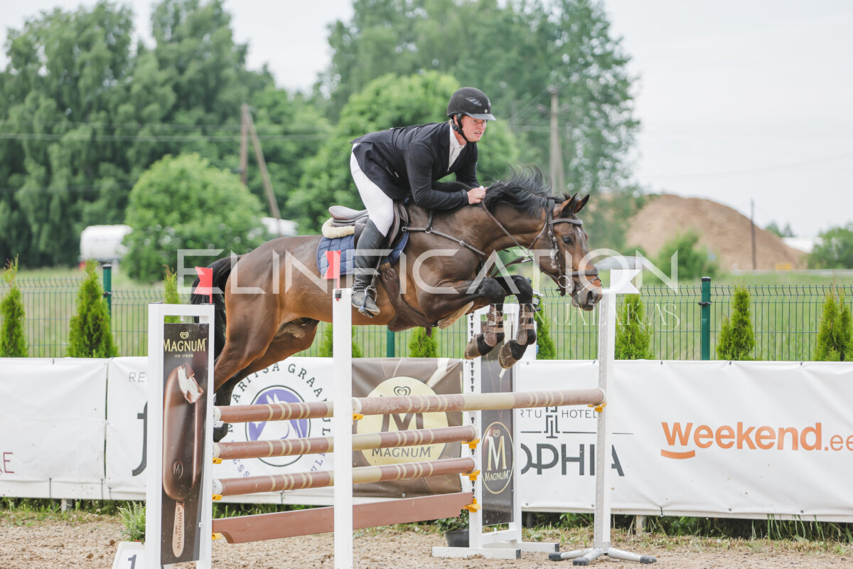 Gramina_Jaanipaev_2026_3p_115_119