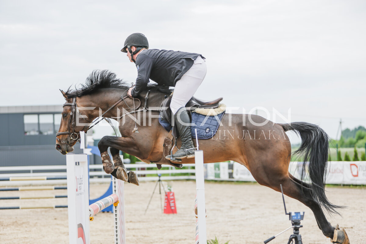 Gramina_Jaanipaev_2026_3p_115_121