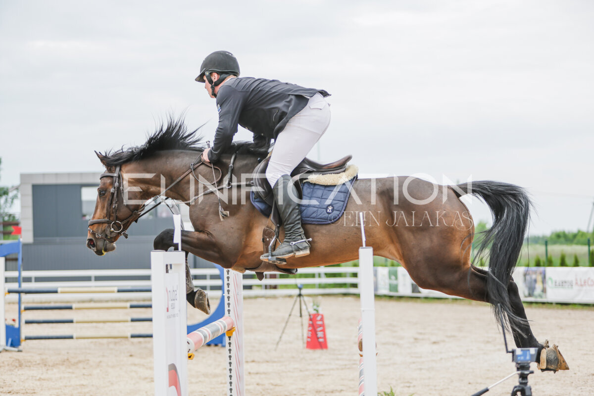 Gramina_Jaanipaev_2026_3p_115_122