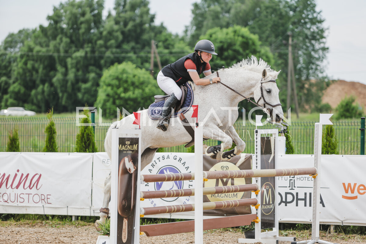 Gramina_Jaanipaev_2026_3p_115_125