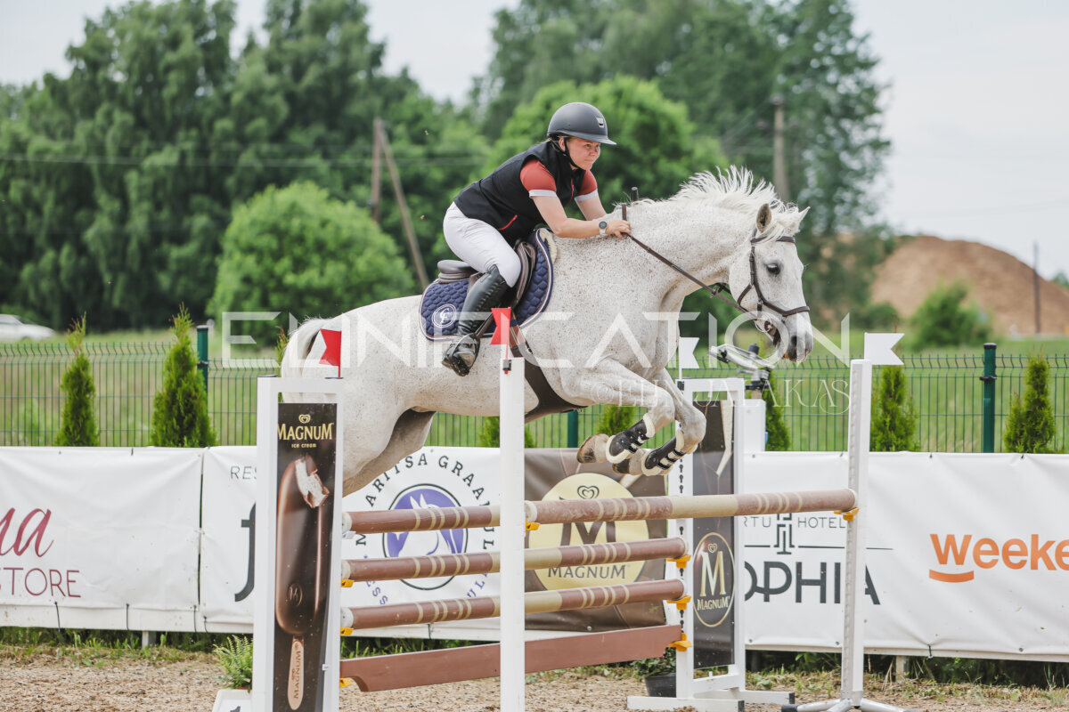 Gramina_Jaanipaev_2026_3p_115_126