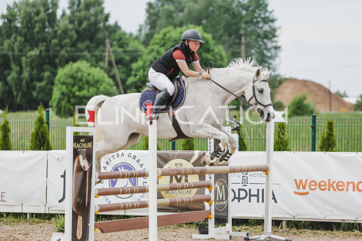 Gramina_Jaanipaev_2026_3p_115_127
